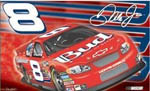 Dale Earnhardt Racing Flag